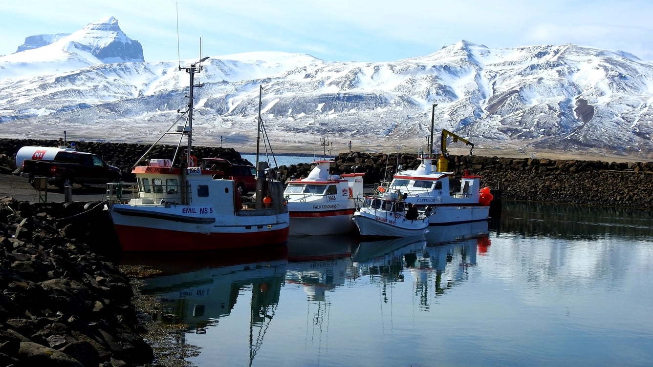 Photo showing the harbor.
